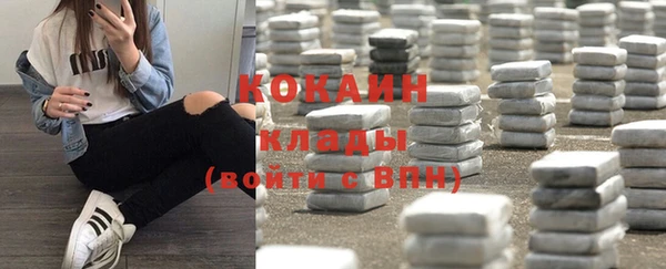 стаф Липки