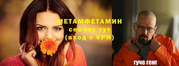 стаф Липки