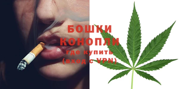 стаф Липки