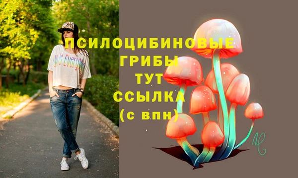 гашик Лиски